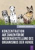 "Konzentration auf Zahlen für die Wiederherstellung des Organismus der Hunde"